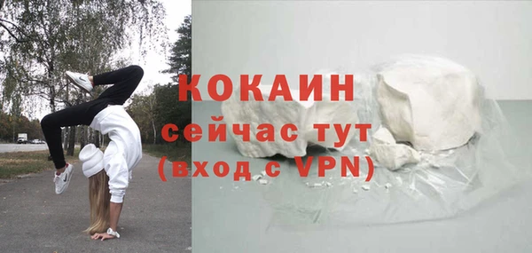 сатива Бородино