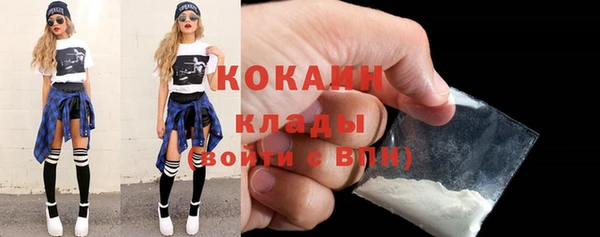 сатива Бородино