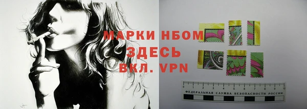 сатива Бородино