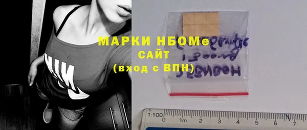 сатива Бородино