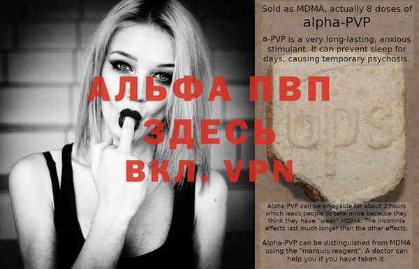 сатива Бородино