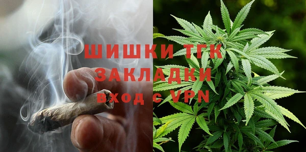 сатива Бородино