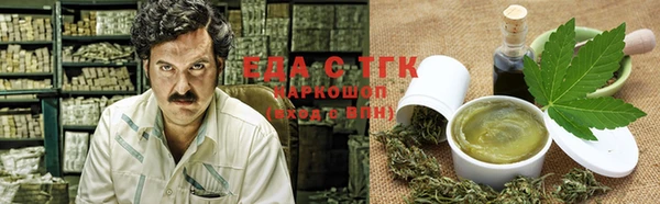 сатива Бородино